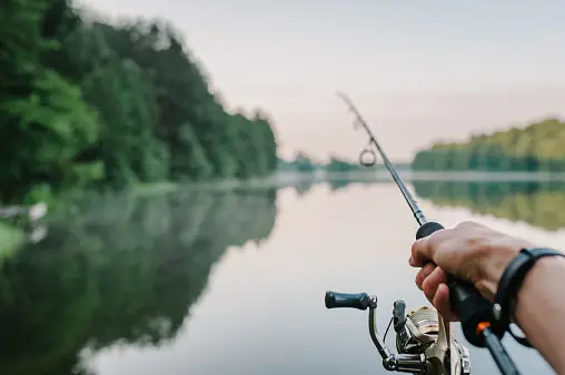 Environmental Responsibility: Travel Drive Docs’ Sustainable Fishing Rods